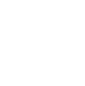 WhatsApp Icon Weiß